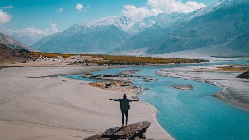 Achieving Financial Freedom in 30 Steps: A Comprehensive Guide